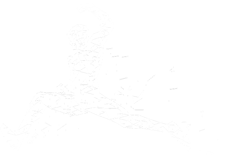Linkinsport---reseau-professionnel-dedie-au-sport---fente Linkinsport-reseau-professionnel-dedie-au-sport-fente